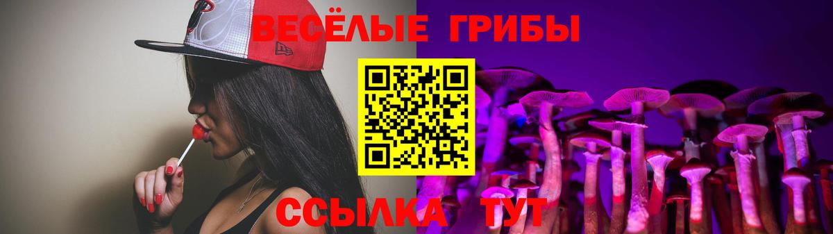 Псилоцибиновые грибы мицелий  Галлюциногенные грибы Psilocybine cubensis  Топки  Вход с VPN 